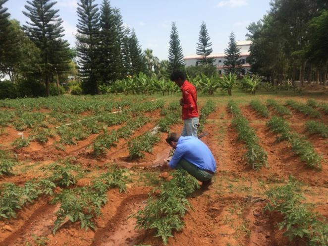 Agri Bio