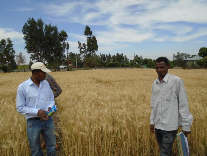 Agri Bio Field