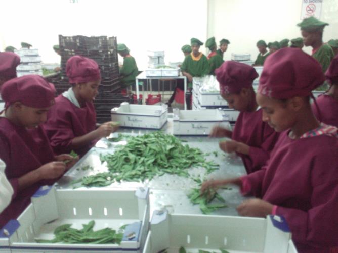 Agri Bio Manufacturing
